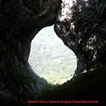 Apartament Thomas Vipava