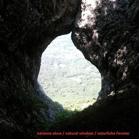 Apartamento Thomas Vipava