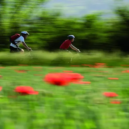 Apartamento Thomas *