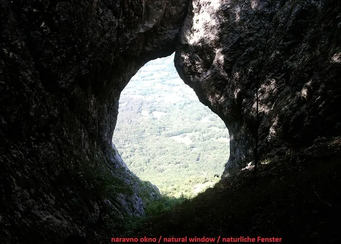 Apartamento Thomas Vipava